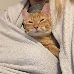 Meet your Posher, Savannah